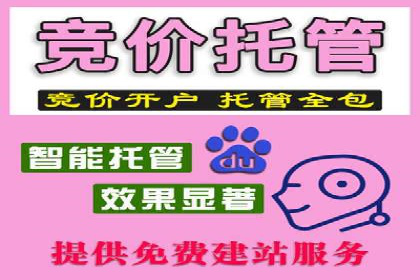 sem托管服务案例：如何实现广告投放精准化